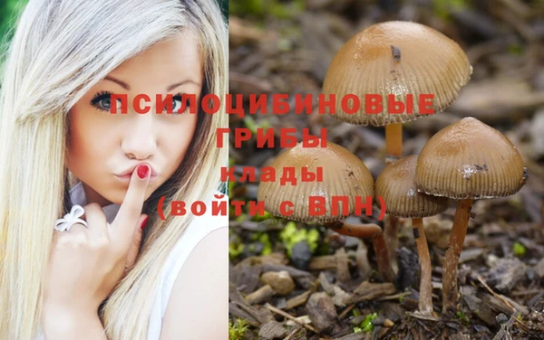 ALPHA-PVP Алексин