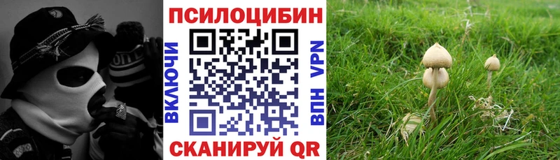 Псилоцибиновые грибы GOLDEN TEACHER  хочу   Дегтярск 